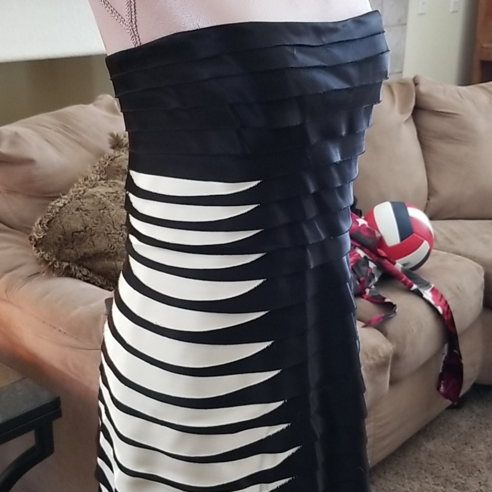 Black and White Formal Dress - Picture 3 of 6